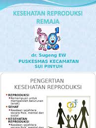 Awalia nur baeti.2010.wanita di pusat rehabilitasi:jakarta. Hidup Sehat Kesehatan Reproduksi Wanita Dewasa Ppt