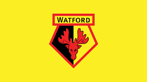 I know sports isn't a hot topic within the community but watford fc are in the fa cup final today! Watford Football Club Official Website