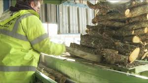 Quel type de bois de chauffage compressé choisir ? Entreprise Caporgno Bois De Chauffage Ramonage Elagage Youtube