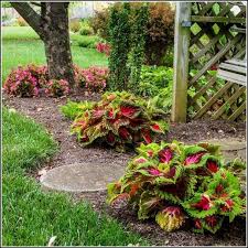 Backyard Landscaping How To Dig A Flower Bed Diy Landscape Backyard Shade Garden Design Plants Garden Flower Beds