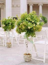 Potted Trees Mark The Center Aisle Wedding Flowers Decor Wedding Arch Flowers Classic Wedding Flowers Wedding Aisle Decorations