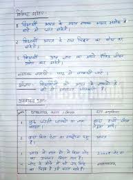 Sst2 281 29 Jpg 732 992 Lesson Plan In Hindi Lesson Plans Lesson
