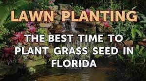 I want to preface this section by saying i am not afraid of hard work and actually found this process extremely i timed my planting at the start of the florida rainy season. The Best Time To Plant Grass Seed In Florida Youtube