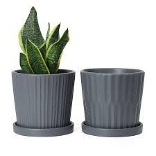 Maybe you would like to learn more about one of these? Greenaholics Medium Plant Pots 6 Inch Grey Cylinder Ceramic Planters With Attached Saucers Two Line Grain Great House And Office Decor Set Of 2 Amazon In Home Kitchen