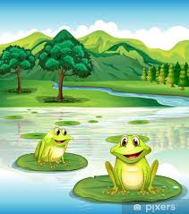 Fotobehang Twee kikkers boven de waterlelies • Pixers® - We leven ...