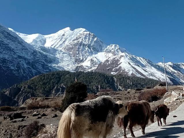 12 Days Annapurna Circuit Trek – 2026/2027 Cost & Itinerary
