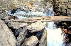 Image result for NARKANDA