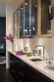Stainless Steel Glass Front Butler Pantry Cabinets Contemporary Kitchen Kitchen Interior Contemporary Kitchen New Kitchen Cabinets