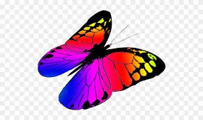 Free Butterflies Drawing Free Butterfly 155800 Png Images Pngio To draw an image showing butterfly flying. free butterflies drawing free
