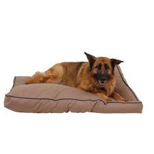 We did not find results for: Black Friday Dog Bed Target