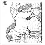 Kleurplaten Paarden Kleurplaten Dieren