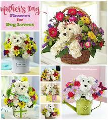 We did not find results for: Mothers Day Flowers Coupon Design Corral
