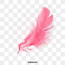 100 patterns of feather jpg watercolor set. Pin On Social Media Design