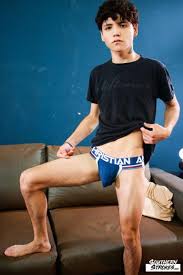 Explore young male pornstars - their incredible journeys revealed