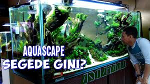 Tersedia semua keperluan dan perlengkapan hobi aquascaping : Grebek Toko Aquascape Cirebon Dev Aquascape Dan Aquatama Youtube