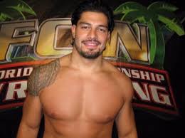 Pin On Joe Anoa I Roman Reigns