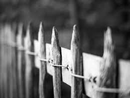 (c.) place the second picket against the first and attach it with nails. Best Nail Gun For Fencing 2021 Reviews
