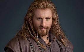 Man Braids Viking Hair Viking Braids Mens Braids