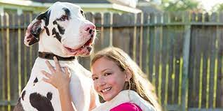 We did not find results for: Great Dane Price How Much Do They Cost My Dog S Name
