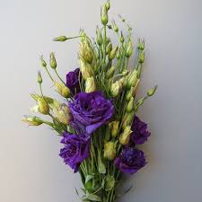 Image result for eustoma lisianthus in vase