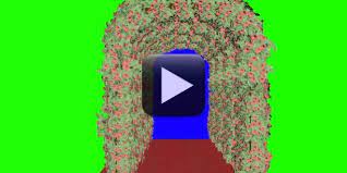 Beautiful Flowers Wedding Frame In Green Screen Effect Greenscreen Wedding Frames Green Screen Video Backgrounds