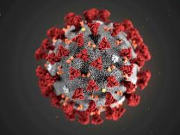 It was first identified in december 2019 in wuhan,. Covid 19 Update For May 1 Here S The Latest On Coronavirus In B C Vancouver Sun