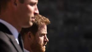 What happens when you don't get along with your sibling?