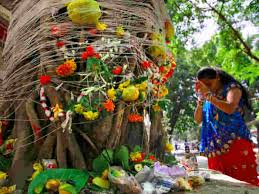 Purnima 2021 dates and timings provided below will help you plan your fasting in advance. Vat Savitri Vrat 2021 When Is Vat Savitri All You Need To Know About This Festival Inext Live