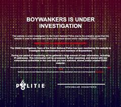 Politie haalt website met kinderporno uit de lucht, man uit Halderberge  aangehouden | Foto | bd.nl