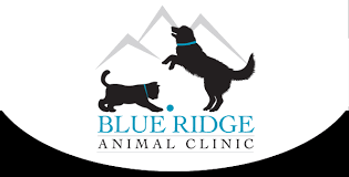 Animal hospitals offer general and emergency pet care services. Blue Ridge Animal Clinic Wetumpka Veterinarians Animal Hospital