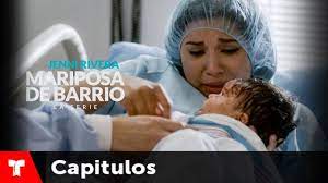 Pin En Mariposa Drl Barrio 12