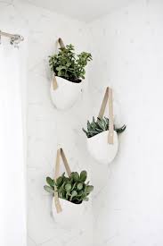 The 15 Best Indoor Plants For Minimalist Homes Hanging Plants Bathroom Plants Green Bathroom