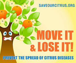 We ship throughout the u.s. Citrus Trees Move It And Lose It Usda
