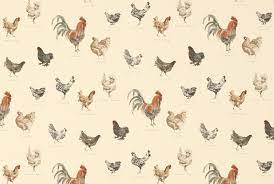 Find chicken pictures and chicken photos on desktop nexus. Chicken Wallpaper For Walls Image Gallery