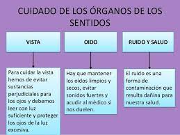 Como Cuidar Nuestros Sentidos
