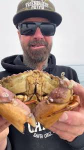 Exploring Barnacle Chronicles and ASMR Delights