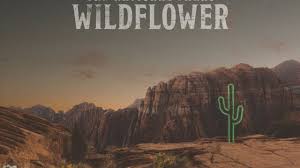 Album cactus country, information about artists and all songs. Album Review The National Parks Wildflower Mxdwn Music