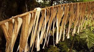 Manfaat daun pisang kering untuk ikan cupangподробнее. Nama Lain Daun Pisang Kering Jenis Pisang Dan Manfaatnya