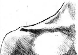 Maybe you would like to learn more about one of these? How To Draw Collar Bones