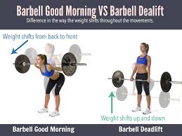 Deadlift Vs Good Morning How Are They Different Fitwirr Barbell Good Morning Barbell Deadlift Barbell Workout