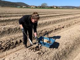 Des Dispositifs Pour Faciliter L Embauche De Saisonniers Dordogne Libre