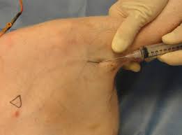 Learn about salaries, benefits, salary satisfaction and where you could earn the most. Biology And Diseases Of Swine Sciencedirect