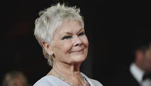 Judi dench to download judi dench just right click and save image as. Over 50 Shades Of Gray Hair That Is Hairstyle Photos