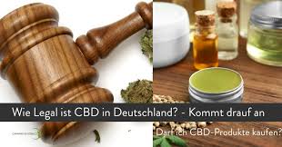 Zuvor gab es nur sondererlaubnisse für rund 1.000 patienten. Ist Cbd Legal Oder Nicht In Deutschland Pros Cons 2020