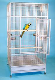 Bird Cage For Sale Cheap Little Kahuna Flat Top Extra Large Bird Cage Large Parrot Cage Large Bird Cages Parrot Cage