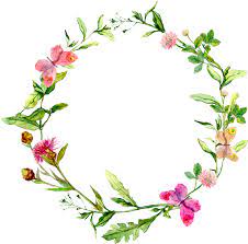 Download Watercolor Flower Circle Png Png Image With No Background Pngkey Com