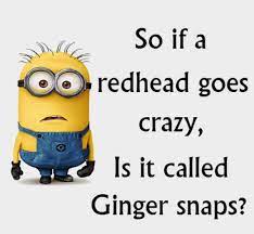 Red Head Quotes Funny Redhead Funny Quotes Quotesgram redhead funny quotes quotesgram