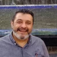 900+ perfiles de «Héctor Francisco»