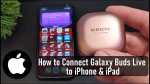* the samsung galaxy buds. Samsung Galaxy Buds Live How To Connect To Iphone And Ipad Youtube