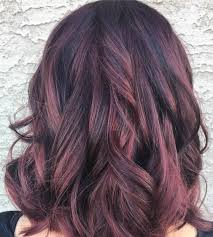 20 Magical Mahogany Hair Color Ideas